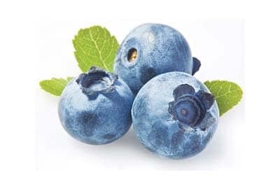 Bilberry Extracts Manufacturer Vaccinium Myrtillus Anthocyanins Stock