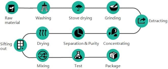Manufacturing process <span style="color: #ffffff;">Grape skin extract polyphenol manufacturer Vitis vinifera extract supplier</span>