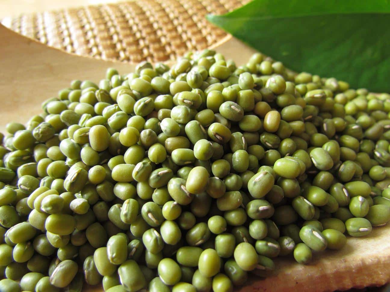 Mung Bean Protein powder,pea proteinphycocyanin protein,www.et-chem.com,et-chem.com,etchem,et pharchem,plant protein,vegan protein,functional peptide, herbal extracts, natural ingredient,botanical ingredient,company, supplier,distributor,wholesale,manufacturer,producer,best,unique,innovative,scfe co2,uk,usa,Canada,Europe,france,germany,Italy,spain,brazil,mexico,uae,middle east,asia,china,solvent free,food grade,trending,health,food,beauty,cosmetics,natural,love,recipes,recipe