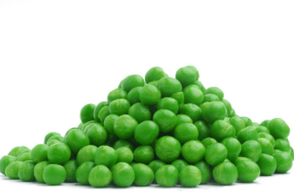 Plant Protein Template V2 Etchem