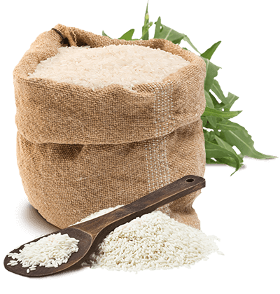 Rice protein manufacturer, Rice protein powder wholesaler, Rice protein Isolate China USA ,Rice protein powder Supplier Company, hydrolyzed rice protein