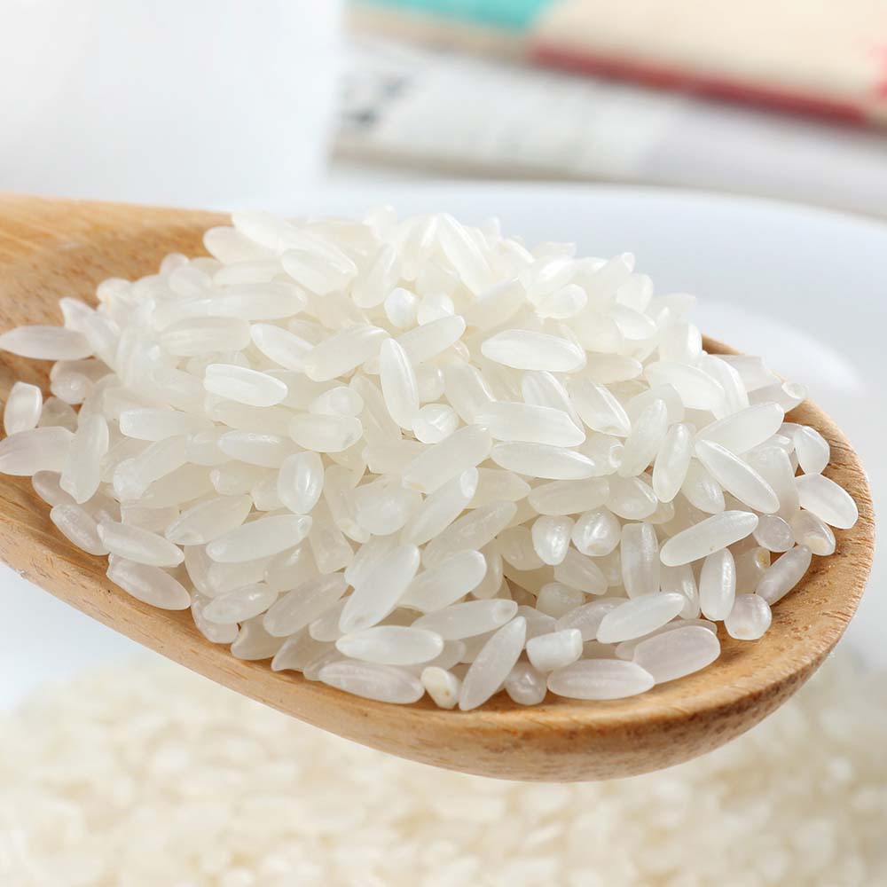 rice protein manufacturer
