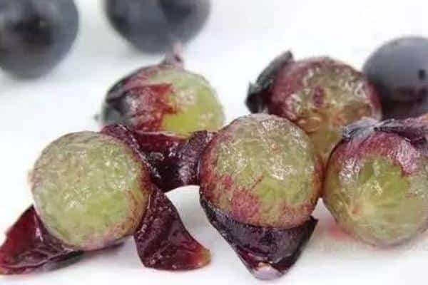 Grape skin extract proanthocyanidins manufacturer Vitis vinifera extract supplier