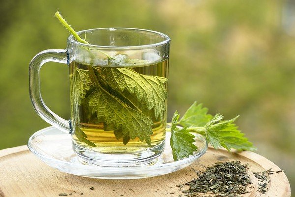 Green Tea Extract polysaccharide Manufacturer Camellia Sinensis Extract Supplier China USA UK