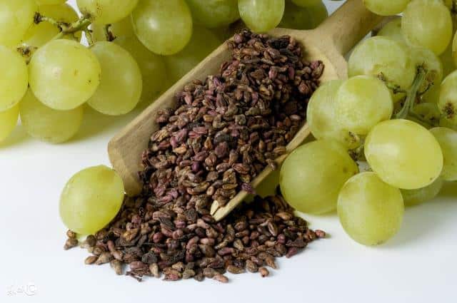 Grape seed extracts,Vitis vinifera extracts,Grape seed purified dry extracts,Grape seed extracts manufacturer,Vitis vinifera extracts manufacturer,Grape seed purified dry extracts manufacturer,Grape seed extracts supplier,Vitis vinifera extracts supplier,Grape seed purified dry extracts supplier,Grape seed extracts wholesale,Vitis vinifera extracts wholesale,Grape seed purified dry extracts wholesale