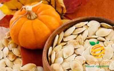 pumpkin seed protein,pumpkin seed protein powder,pumpkin protein,pumpkin protein powder,pumpkin spice protein powder,pumpkin spice protein shake,pumpkin protein shake,pumpkin protein bars, pumpkin powder, protien powder, pumpkin flavored protein powder,pumpkin oil benefits,pumpkin whey protein,pumpkin vitamins,,www.et-chem.com,et-chem.com,etchem,et pharchem,plant protein,vegan protein,functional peptide, herbal extracts, natural ingredient,botanical ingredient,company, supplier,distributor,wholesale,manufacturer,producer,best,unique,innovative,scfe co2,uk,usa,Canada,Europe,france,germany,Italy,spain,brazil,mexico,uae,middle east,asia,china,solvent free,food grade,trending,health,food,beauty,cosmetics,natural,love,recipes,recipe