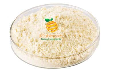 rice protein manufacturer,Rice protein powder, Rice protein Isolate, Rice protein powder wholesaler, Rice protein powder Supplier Company, hydrolyzed rice protein, Rice protein China, Rice protein USA,