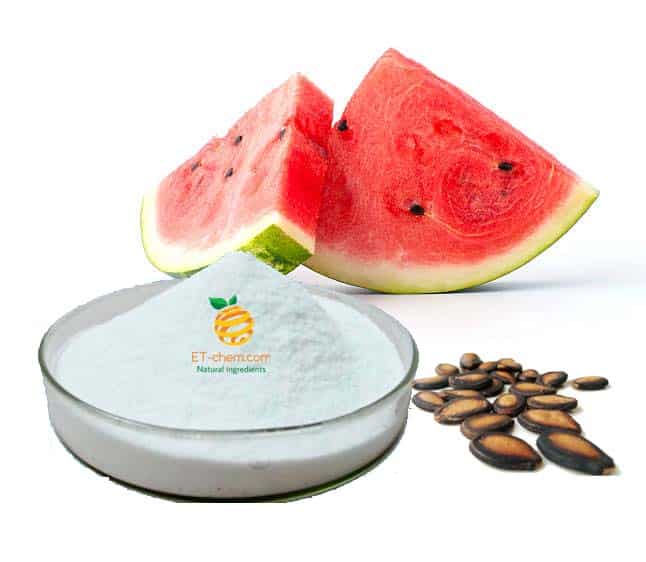 Watermelon protein Manufacturer Watermelon extract Supplier Watermelon seed protein Wholesaler company,watermelon powder extract benefits, nutrition