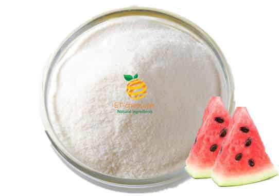 Watermelon protein Manufacturer Watermelon extract Supplier Watermelon seed protein Wholesaler company,watermelon powder extract benefits, nutrition