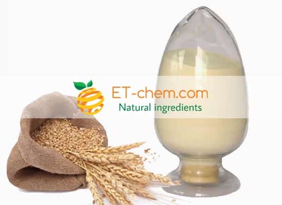 Wheat peptide manufacturer Hydrolyzed wheat protein Supplier,wheat protein powder wholesaler,wheat protein extract distributor,wheat peptide UK USA China