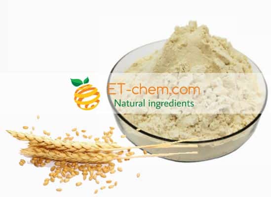 Wheat peptide manufacturer Hydrolyzed wheat protein Supplier,wheat protein powder wholesaler,wheat protein extract distributor,wheat peptide UK USA China